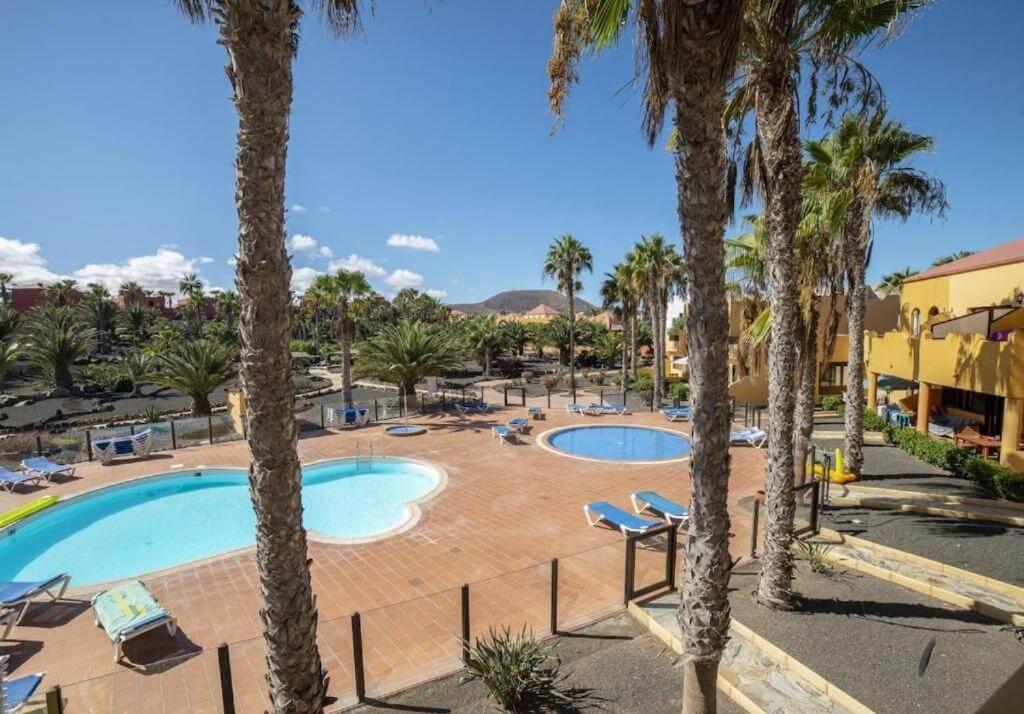 Lightbooking Oasis Royal Corralejo F311 Екстер'єр фото